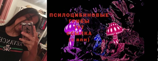 дмт Армянск