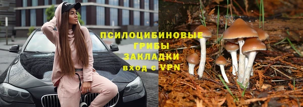 альфа пвп Арсеньев